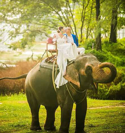 �ռ���ɴ��Ӱ��̩��������Ļ�ɴ�ա�