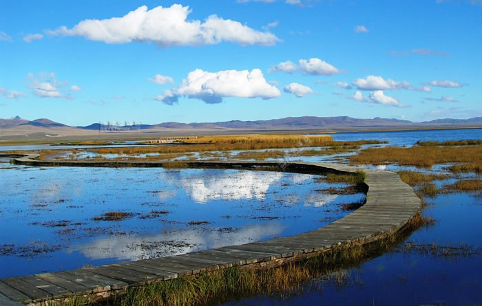 若尔盖花湖,若尔盖花湖摄影景点介绍,若尔盖花湖景点介绍,若尔盖花湖风景景点介绍,若尔盖花湖景点图片欣赏二 若尔盖花湖,若尔盖花湖摄影景点介绍,若尔盖花湖景点介绍,若尔盖花湖风景景点介绍,若尔盖花湖景点图片欣赏二
