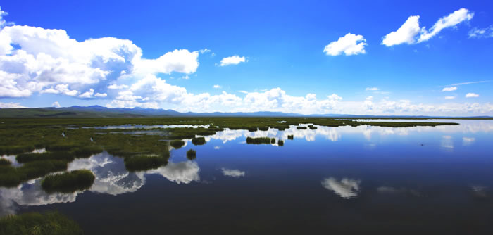 若尔盖花湖,若尔盖花湖摄影景点介绍,若尔盖花湖景点介绍,若尔盖花湖风景景点介绍,若尔盖花湖景点图片欣赏四 若尔盖花湖,若尔盖花湖摄影景点介绍,若尔盖花湖景点介绍,若尔盖花湖风景景点介绍,若尔盖花湖景点图片欣赏四