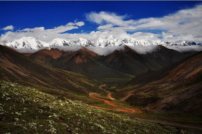 �¶���,�¶�����Ӱ�������,�¶��ž������,ͼ��