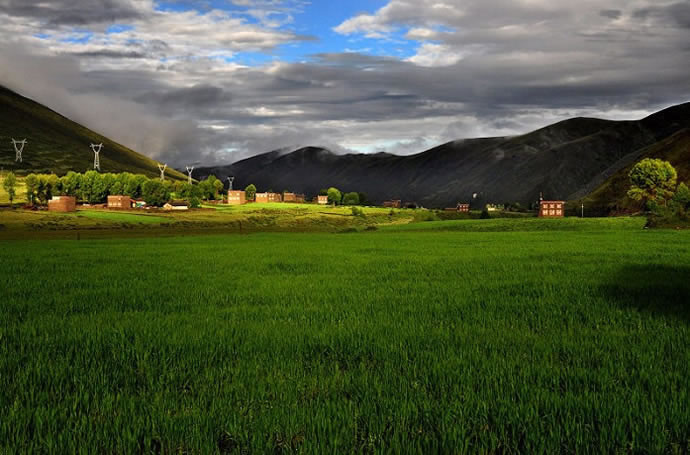 �¶���,�¶�����Ӱ�������,�¶��ž������,ͼ��