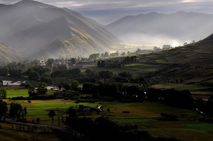 �¶���,�¶�����Ӱ�������,�¶��ž������,ͼ��