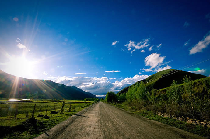 �¶���,�¶�����Ӱ�������,�¶��ž������,ͼ��