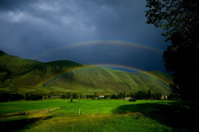 �¶���,�¶�����Ӱ�������,�¶��ž������,ͼ��