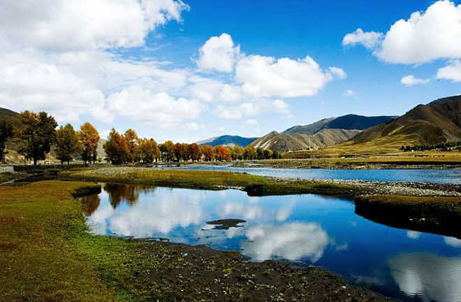 �¶���,�¶�����Ӱ�������,�¶��ž������,ͼʮ��