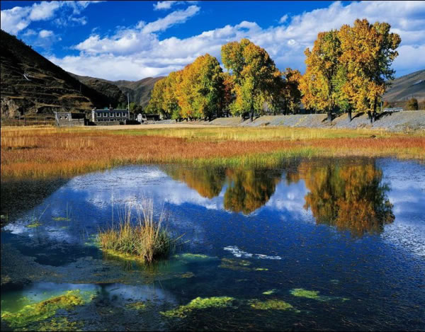 �¶���,�¶�����Ӱ�������,�¶��ž������,ͼʮ��