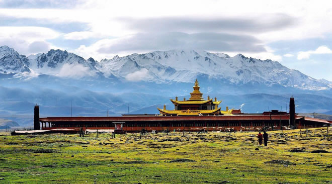 �¶���,�¶�����Ӱ�������,�¶��ž������,ͼ��ʮ