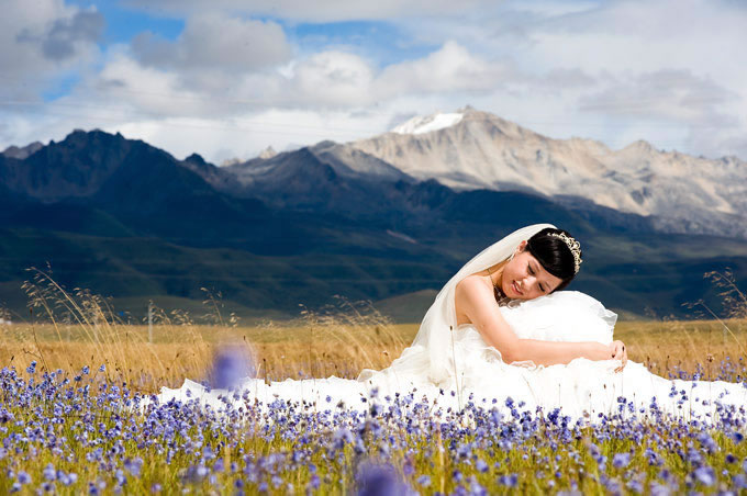 �¶���,�¶�����Ӱ�������,�¶��ž������,ͼ��ʮһ