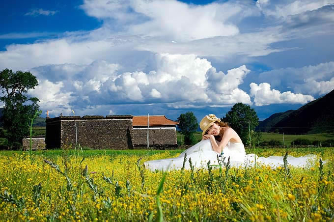 �¶���,�¶�����Ӱ�������,�¶��ž������,ͼ��ʮ��