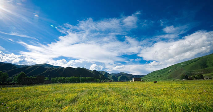 �¶���,�¶�����Ӱ�������,�¶��ž������,ͼ��ʮ��