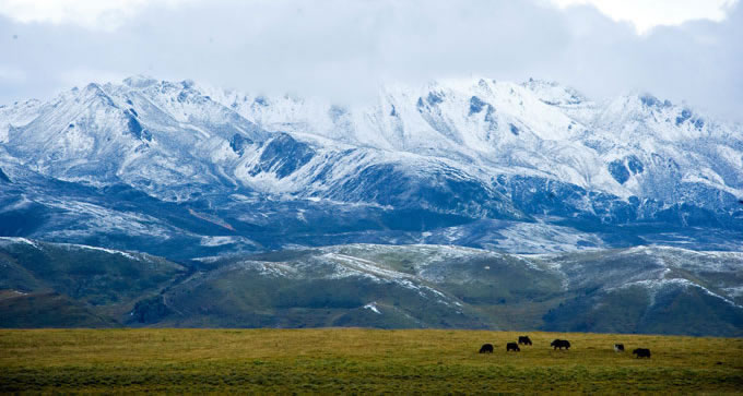 �¶���,�¶�����Ӱ�������,�¶��ž������,ͼ��ʮ��